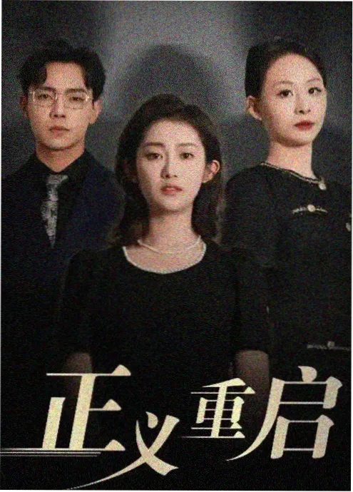 无声证词 律政悬疑电视剧海报